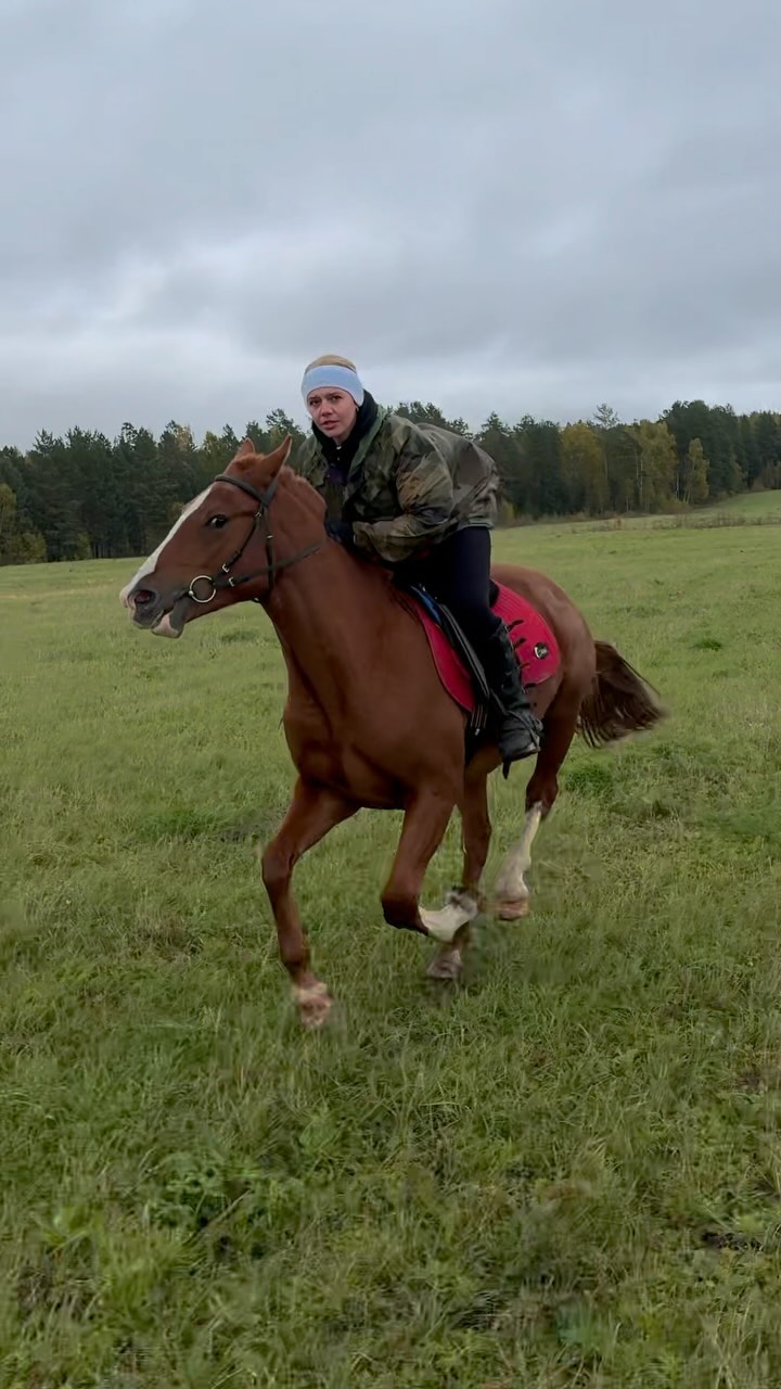 darinairkray in LOOKY. . Для кого то это все ...