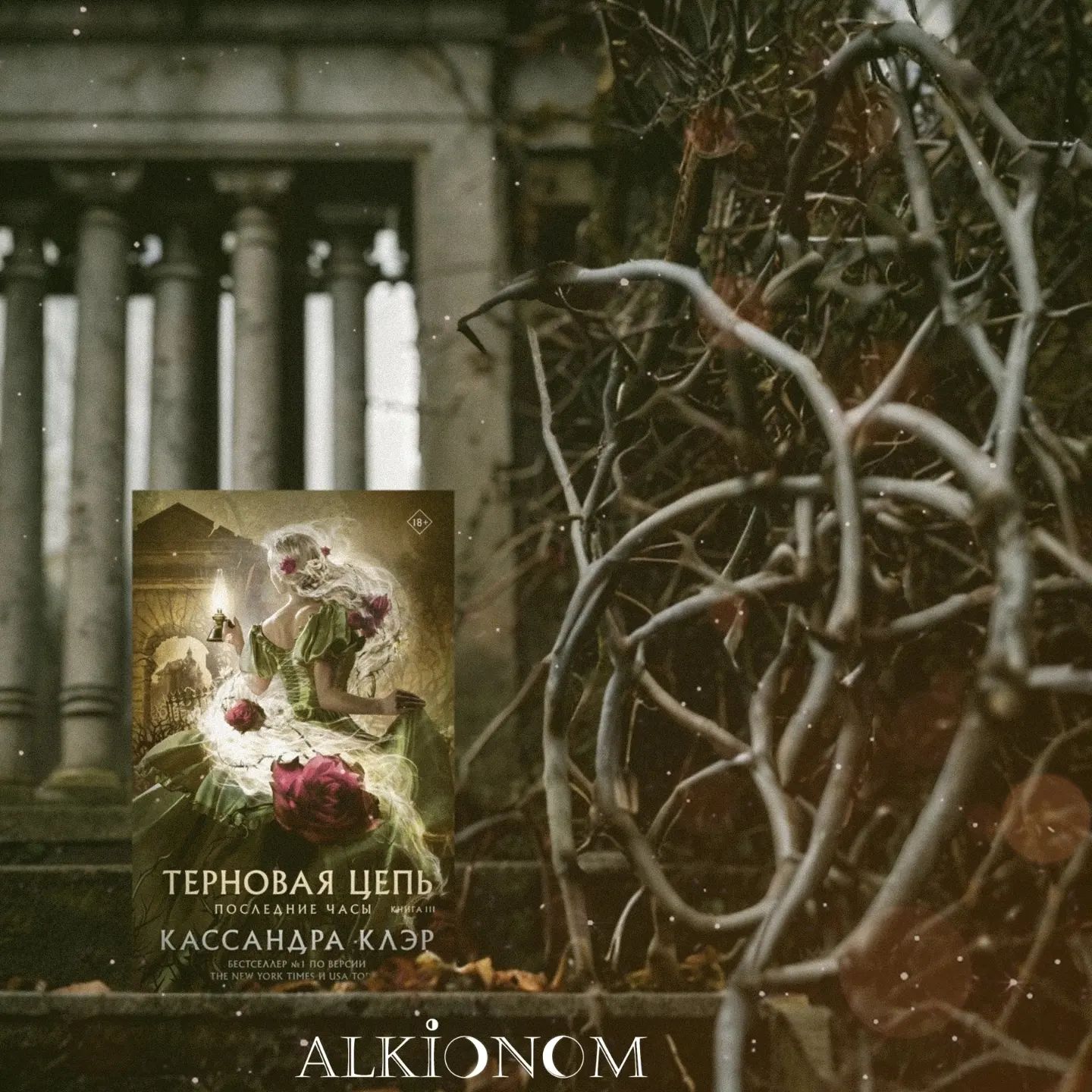 alkionom_books в LOOKY. . 🌒КАССАНДРА КЛЭР "ТЕ...