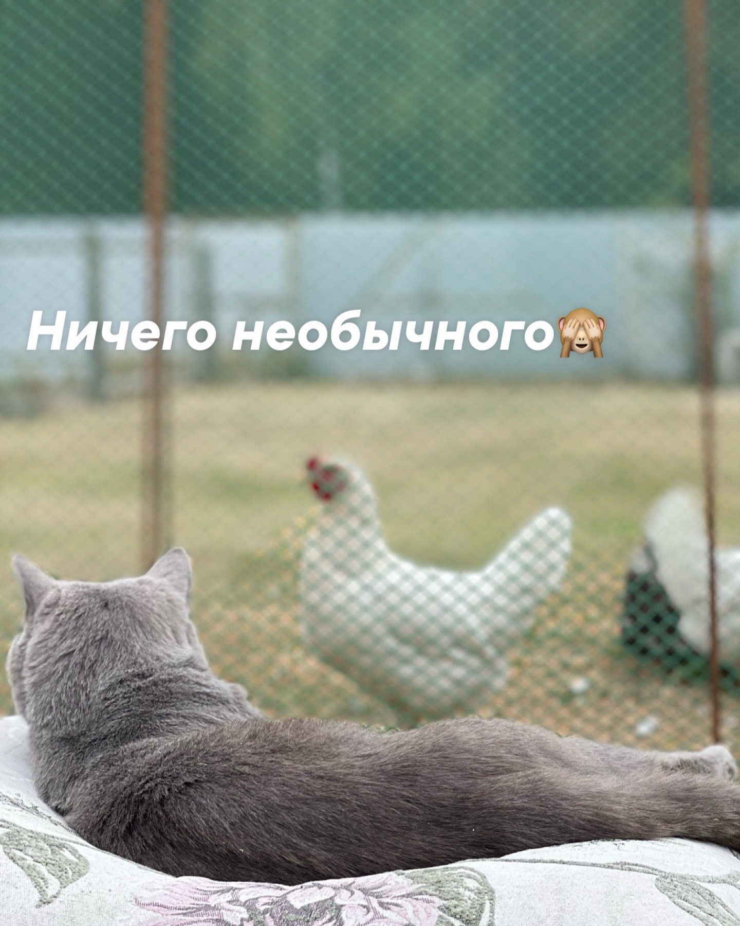 uchilka_v_galoschah в LOOKY. . null