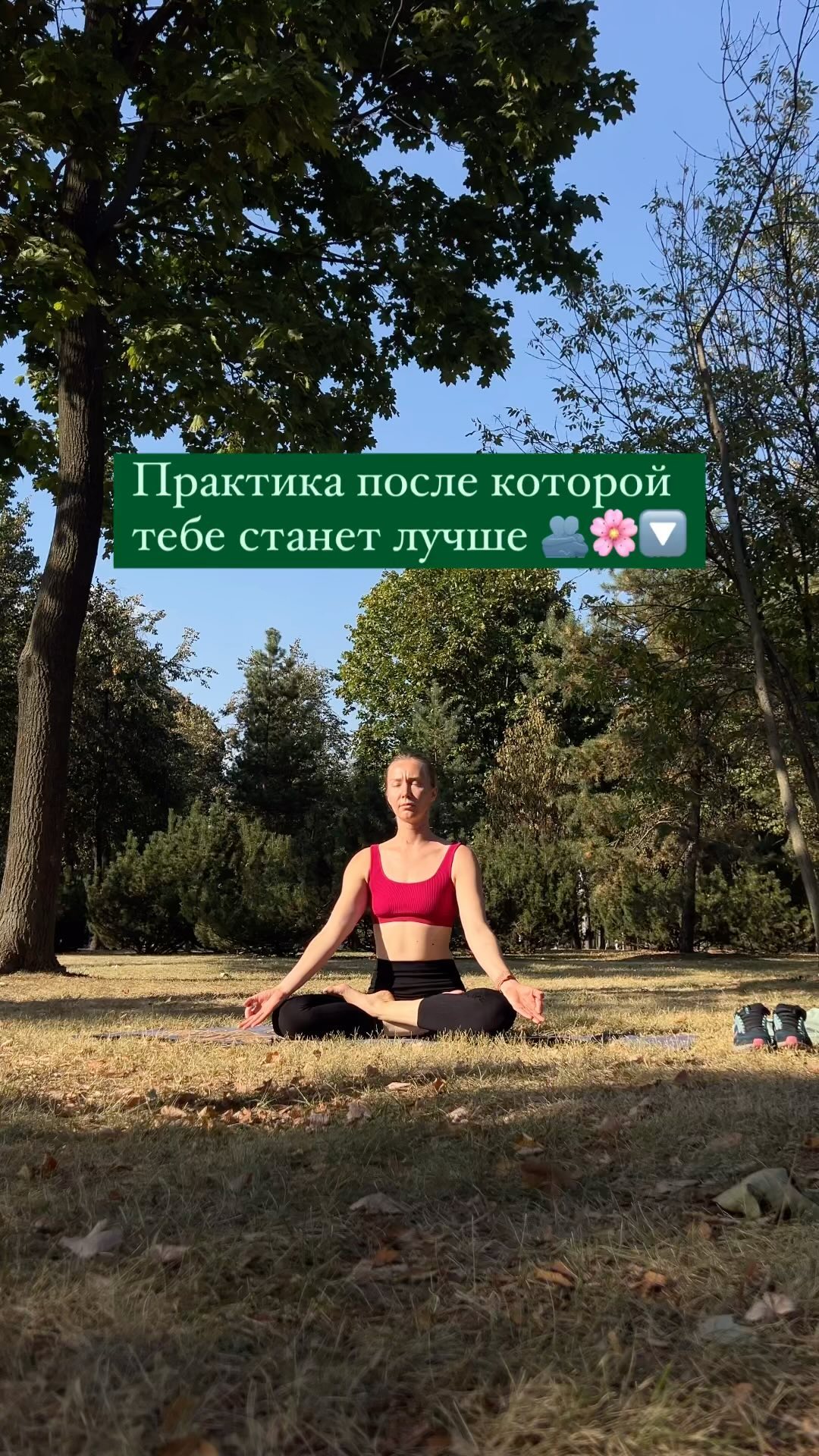 zdravproduct in LOOKY. . Разверни🔽
-
Большин...