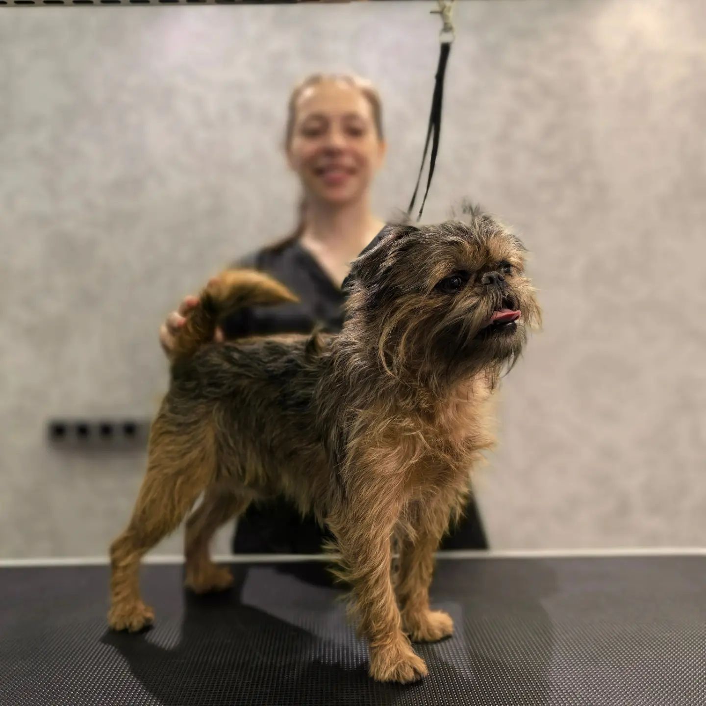 ourgroomingsalon в LOOKY — фото 2