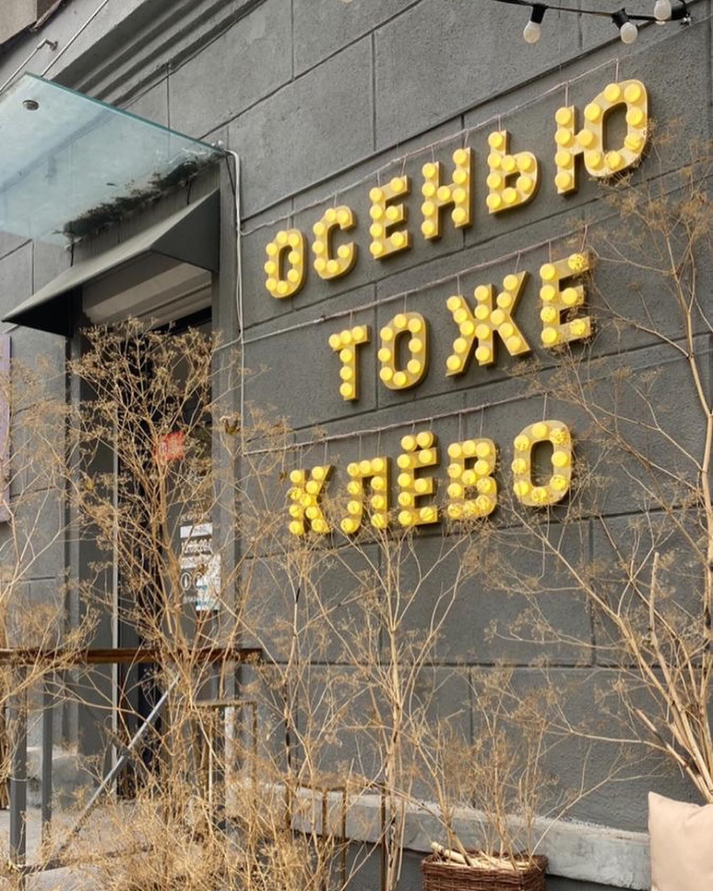 irinkapopovizh111 в LOOKY. . null