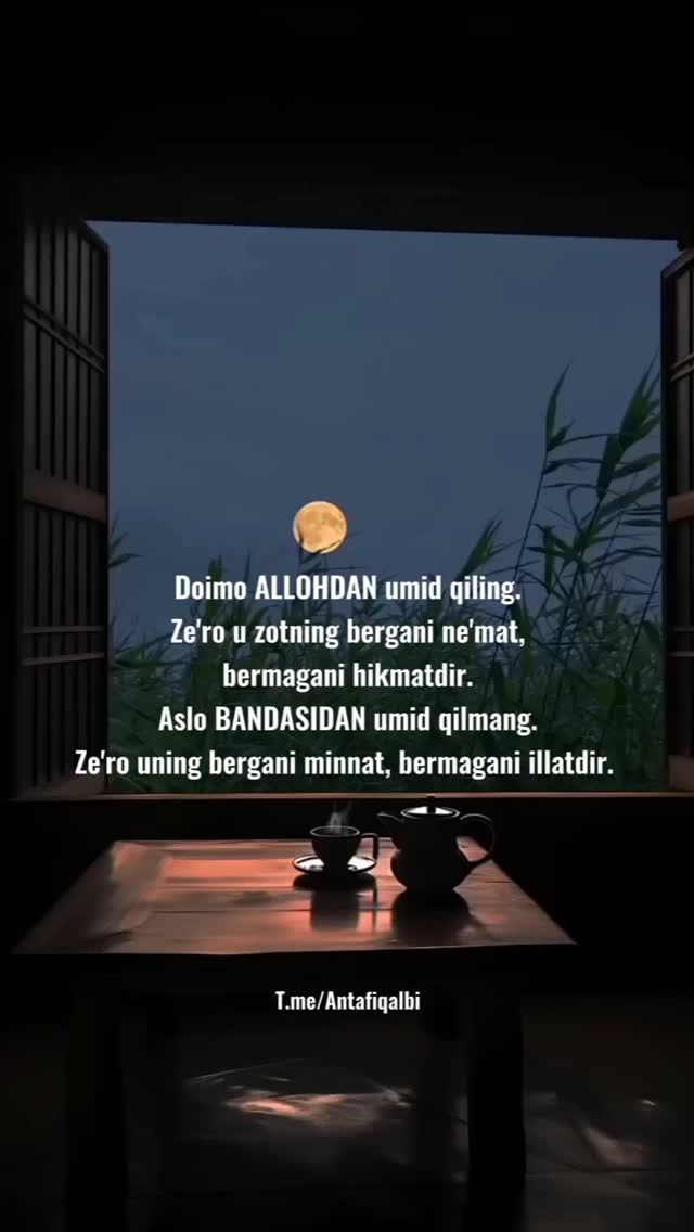 ⚜️Almominun⚜️ в LOOKY. . null