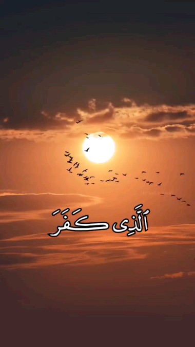 ham_oudi.27 в LOOKY. . null