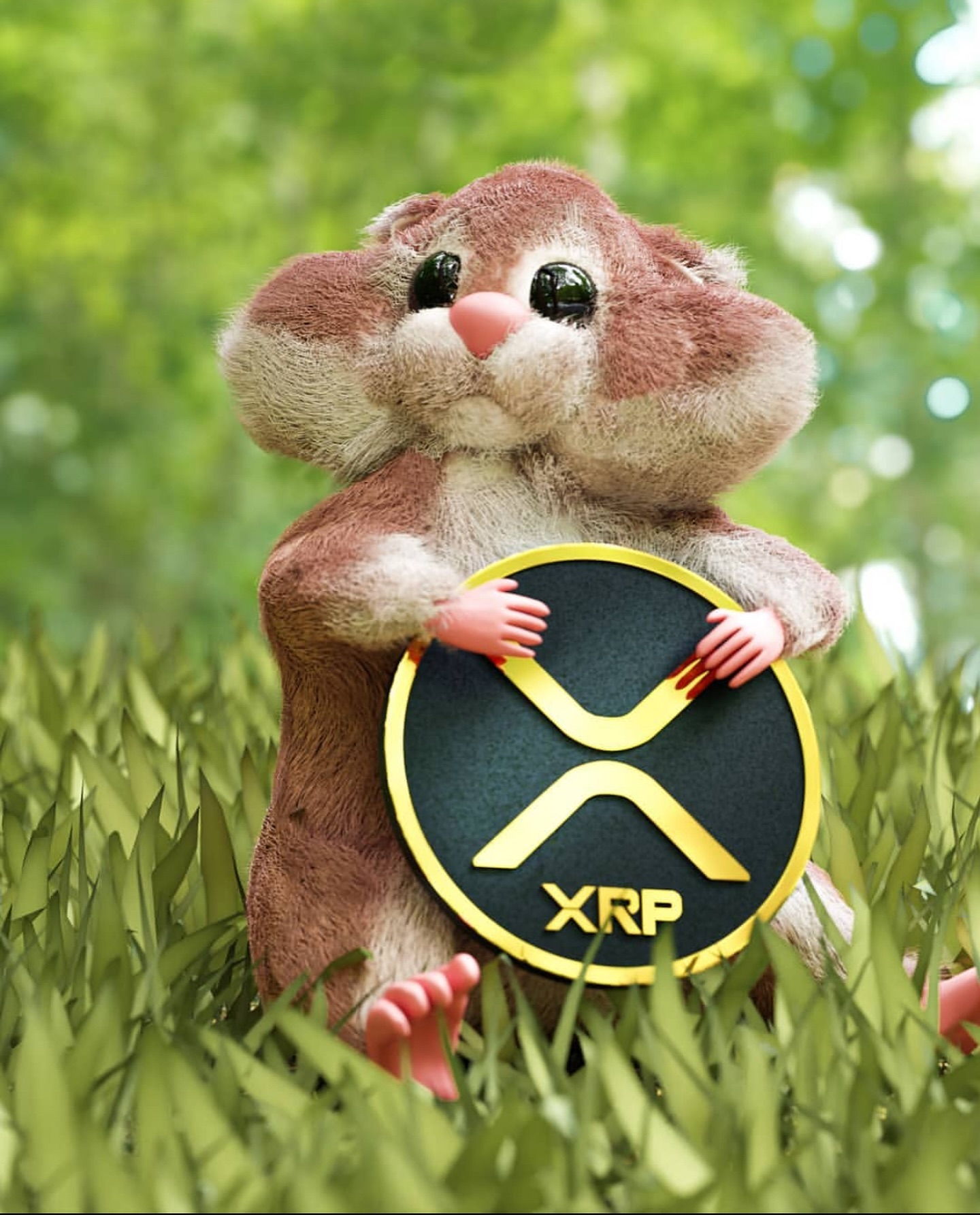 Kriksus Enterprise в LOOKY. . @ripple_global