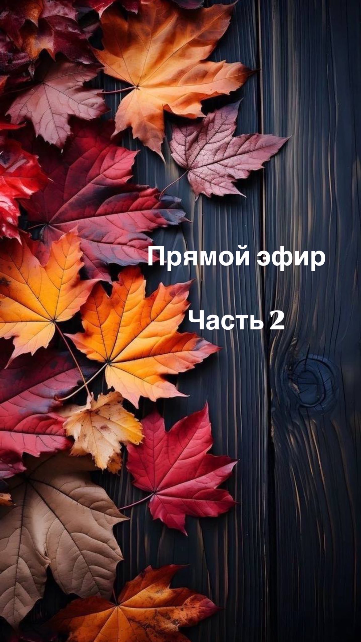 nadezhda__salnikova_ в LOOKY. . Прямой эфир: «Как пе...
