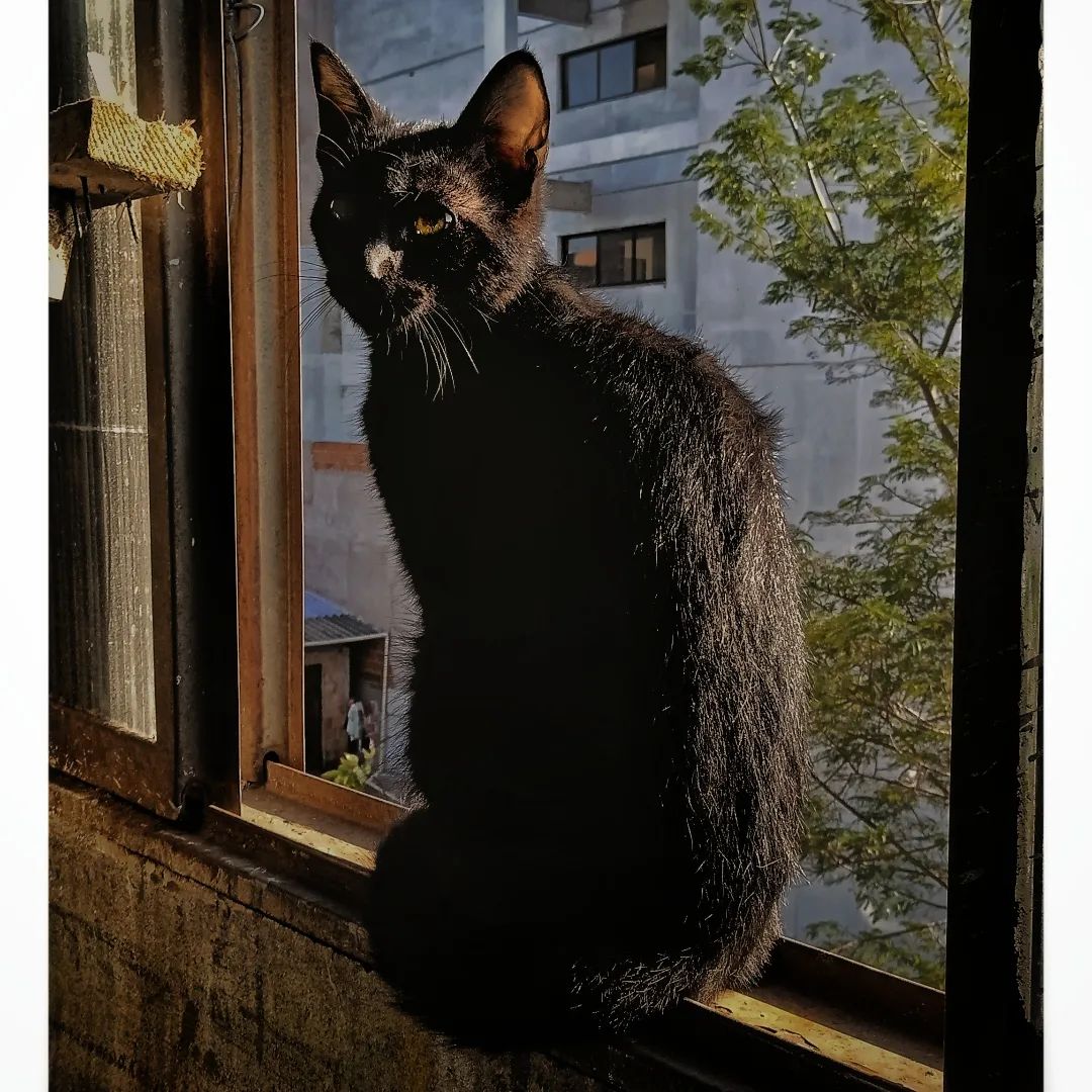 reydleyph in LOOKY. #fyp,#fotografia,#catsofinstagram,#fotos,#art,#bwphotography. 1 o 2 ?  #fyp #fotog...