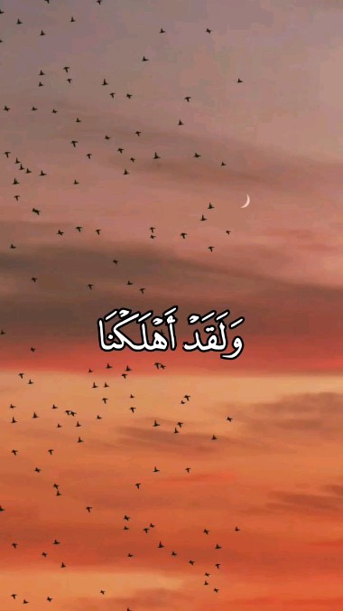 ham_oudi.27 в LOOKY. . null