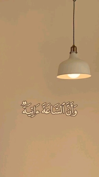 ham_oudi.27 в LOOKY. . null
