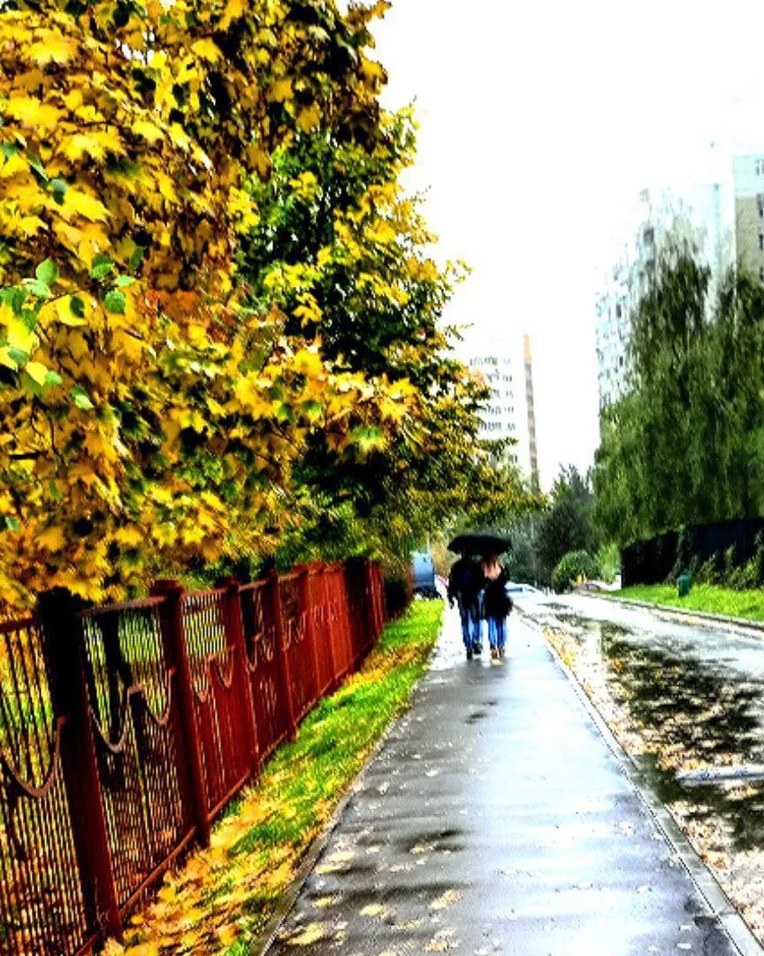 maxaverin.life в LOOKY. . я очень люблю осень....