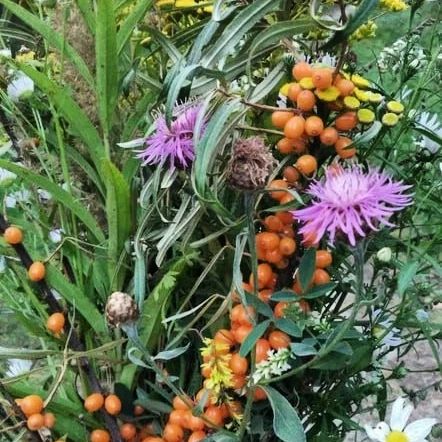 ovaleeva__ в LOOKY — фото 8