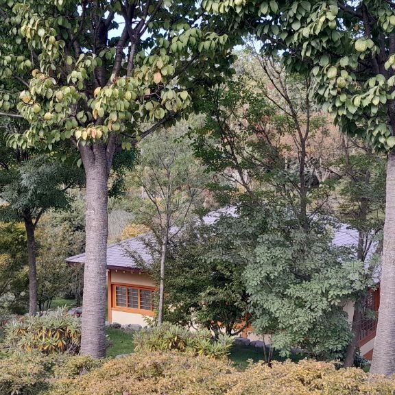 ladydainadarkness в LOOKY — фото 10