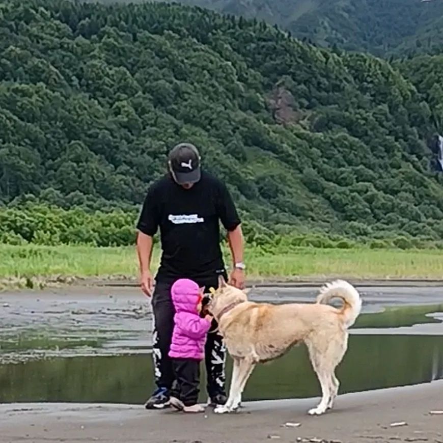 family_adventurers3 в LOOKY. . Собака VS ребёнок, ч...