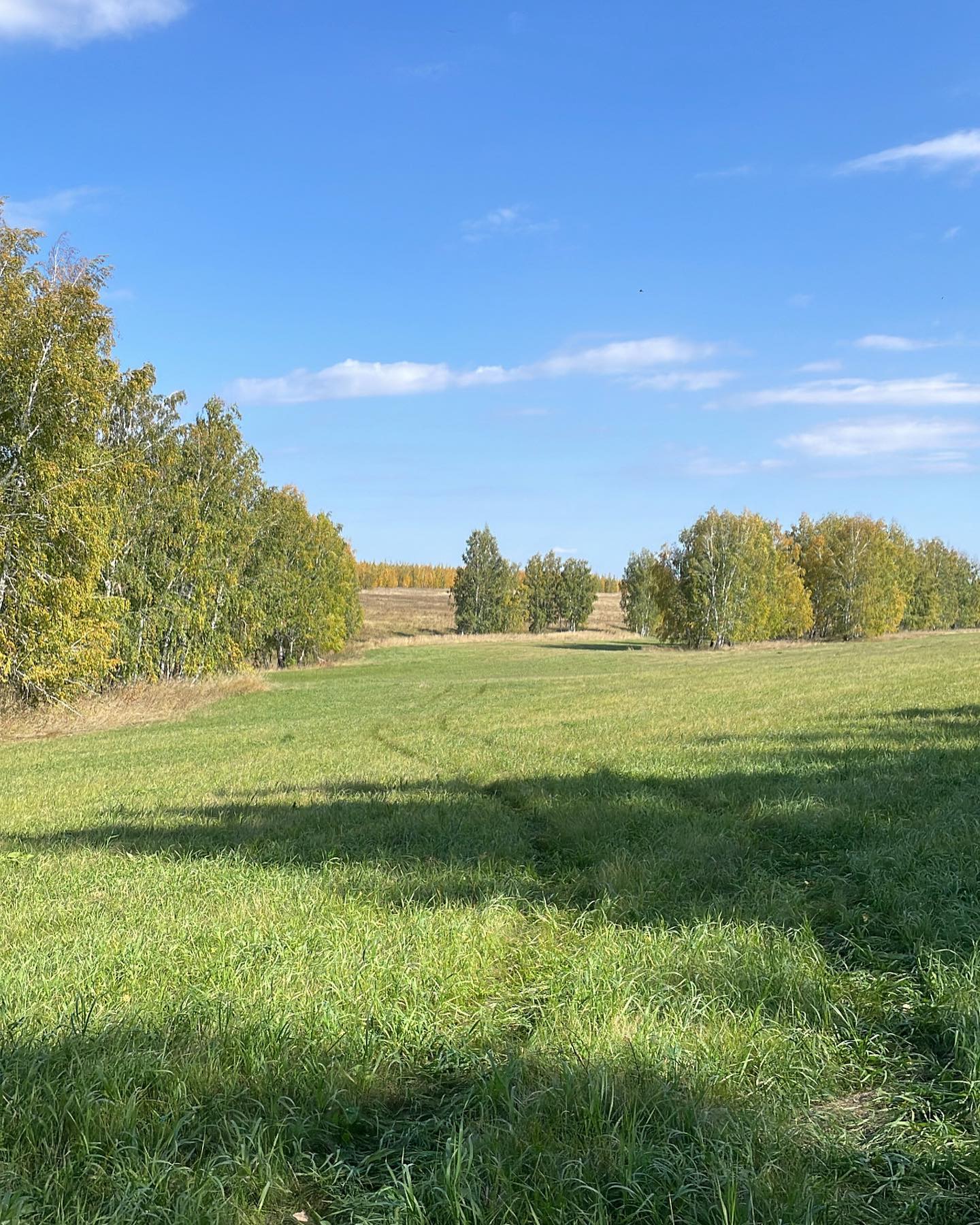 oksanaa55 в LOOKY. #autumn,#природа,#осень,#россия,#жизнь,#любовь,#мирумир,#мнекрасиво. Осень 🍂🌾 

#autumn...