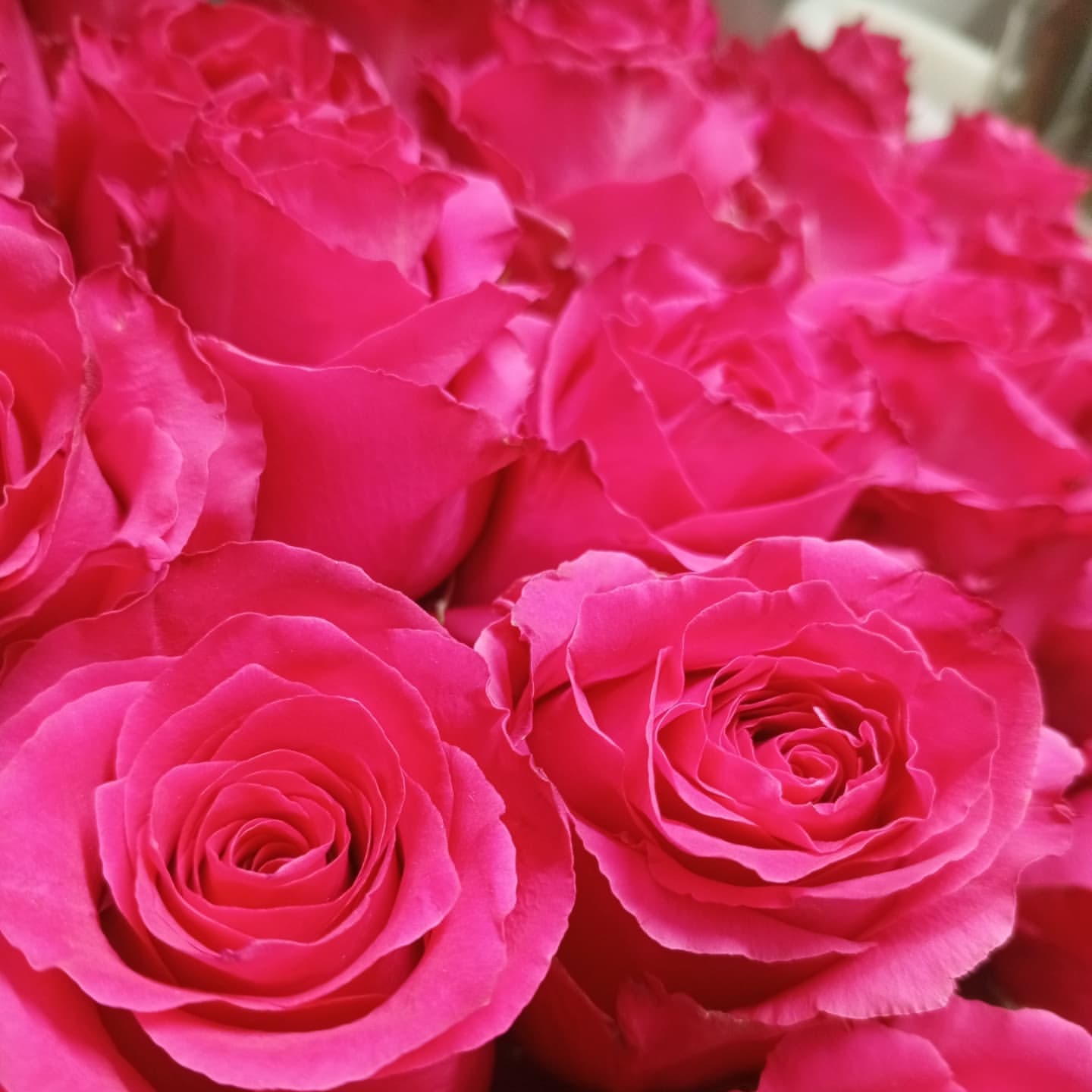 flowers_standard в LOOKY. #Саратовцветы#цветы#букеты#заказатьцветы#букетсдоставкой#работаетдоставка#ленинскийрайон#кировскийрайон. Здравствуйте, друзья...