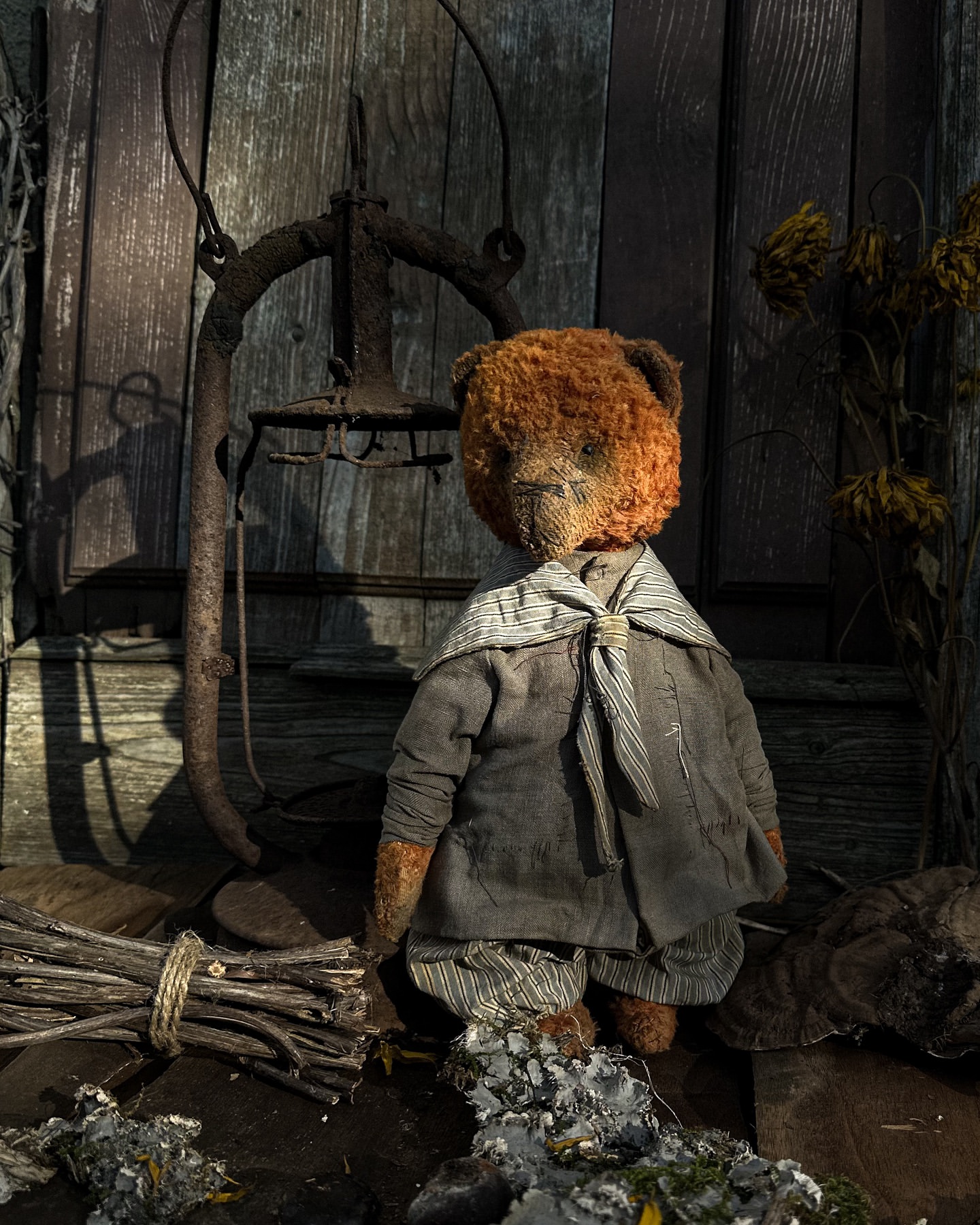 teddyandberry in LOOKY. . Вечерний свет для фо...