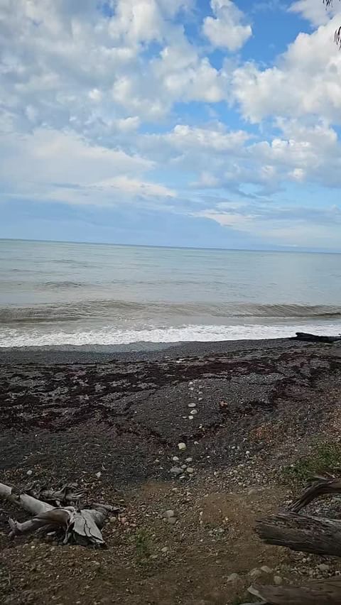 _olgasto в LOOKY. #. Есть только два дня ...
