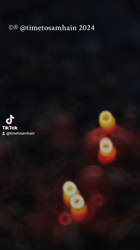 TIME TO SAMHAIN 🎃 в LOOKY. #Samhain,#timetosamhain,#timetohalloween,#AllHallowsEve,#SeasonoftheWitch,#charmedwitch,#OctoberWitch,#WitchAllYear,#halloweenfan,#TiimetoSamhainTok. #Samhain #timetosamh...