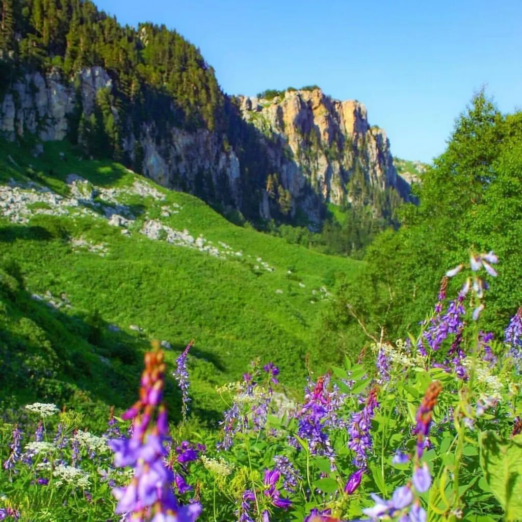 sankurort_kmv в LOOKY. . Республика Адыгея

Г...