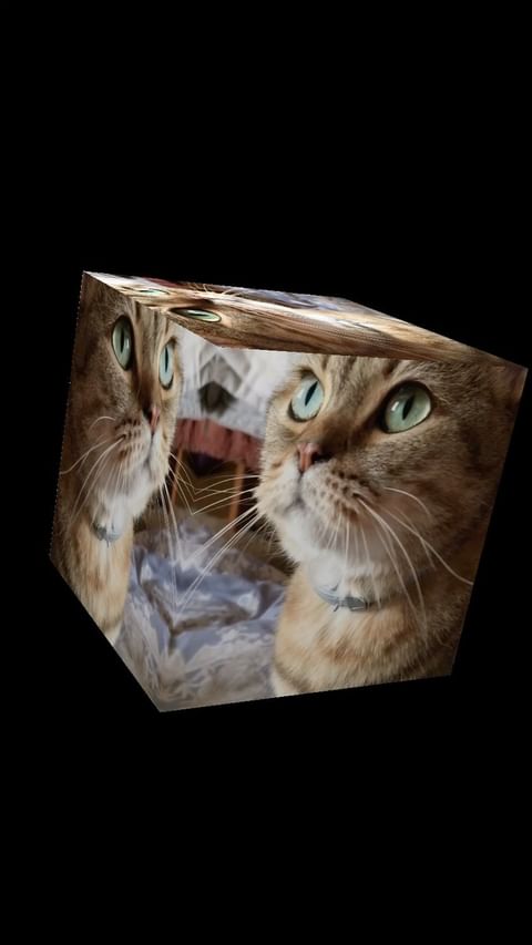 yakovaleksandrovich in LOOKY. #котики,#кошки,#кошка,#кошкитакиекошки,#кошкилучшелюдей,#кошкамоя,#кошкирулят. Лора 😻

#мыизкотогр...