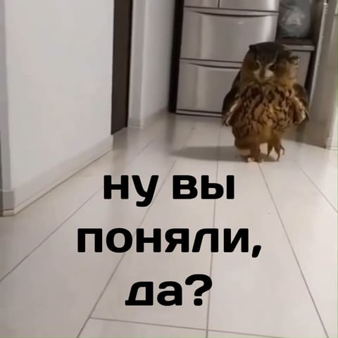 portugal_para_todos в LOOKY. . Играем 4 Игру Осенне...