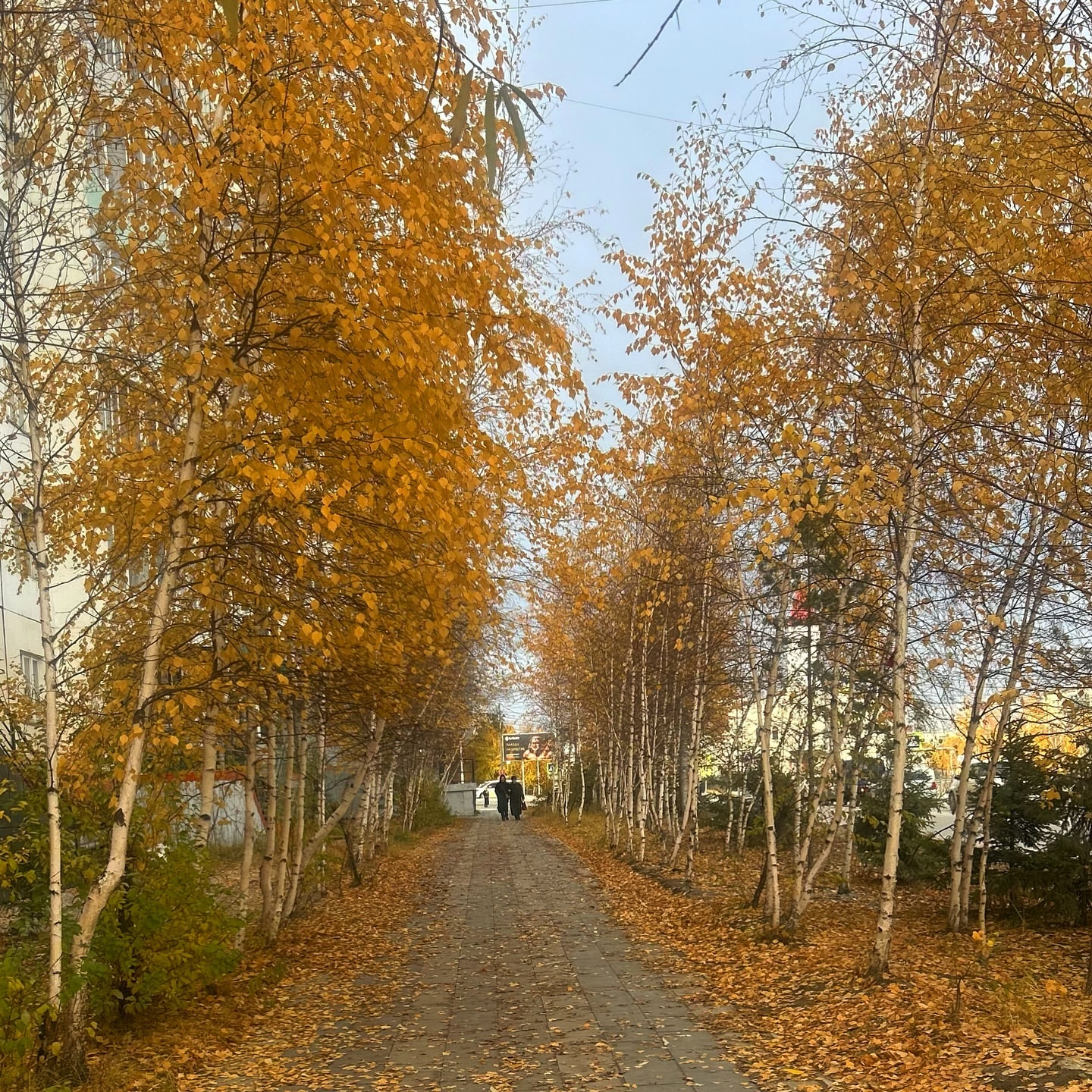 Светлана в LOOKY. . Сентябрь мой месяц �...