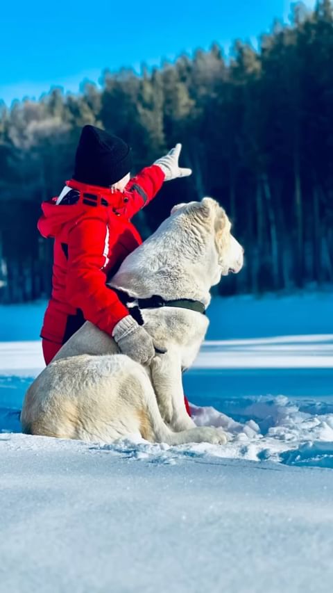 darinairkray in LOOKY. . Ты с нами ….