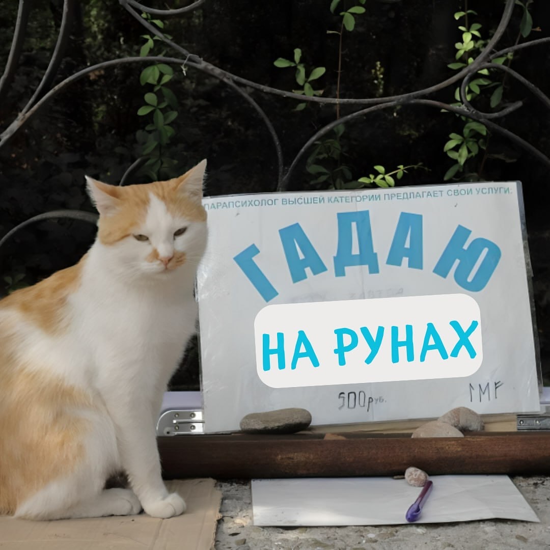 runes_whisper в LOOKY. #Консультации,,#помощь,#диагностика.,#жизнь,#гадание,#гаданиеонлайн,#кодсудьбы,#судьба,#эзотерика,#магиярун,#руны,#гаданиенарунах. Ты суетишься и дёрга...