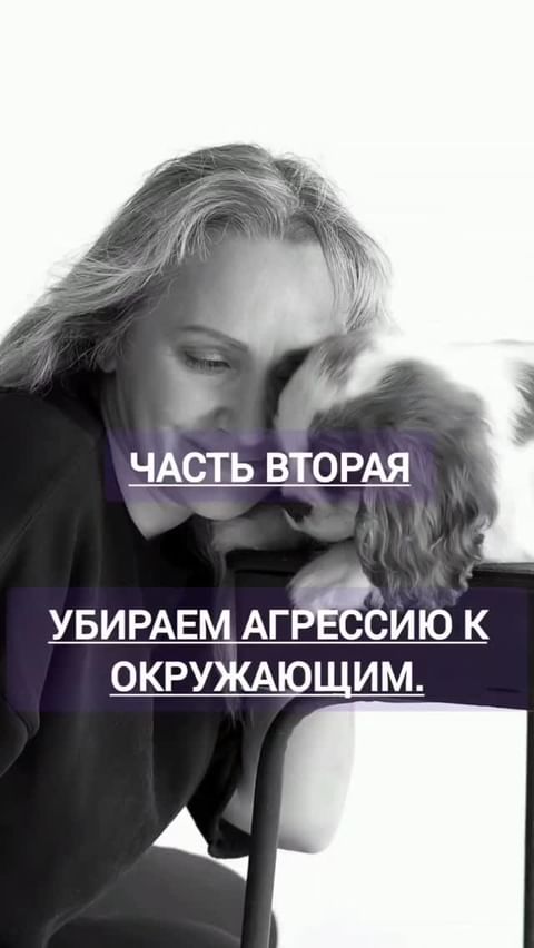 kinolog_zoopsikholog в LOOKY. #зоопсихолог,#дрессировкасобак,#воспитаниесобак,#щенок,#дрессировка,#видеорилс. Следите за лентой! С...