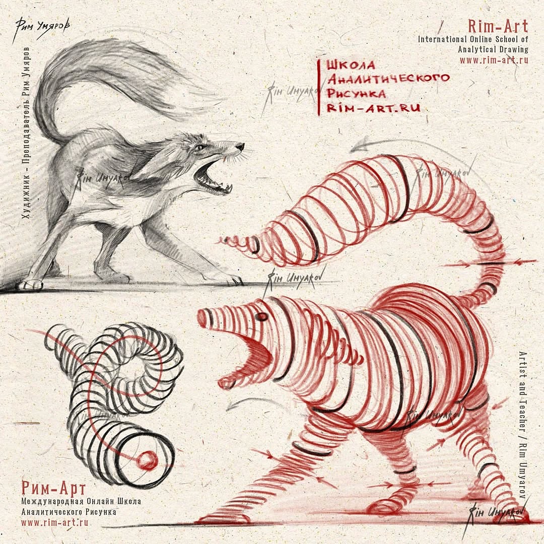 rim.umyarov в LOOKY. #draw,#sketchbook,#sketch,#academicdrawing,#drawingschool,#drawingcourse,#drawingtutorial,#howtodraw,#rimart,#рисунок,#fox. 🦊 www.rim-art.ru 🦊...