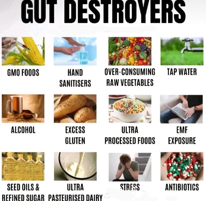 ekoduhru в LOOKY. . Gut Destroyers