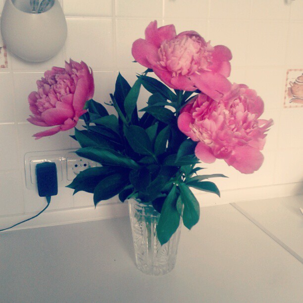 irina_biribkina в LOOKY. . Favourite flowers