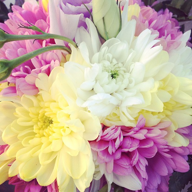 dariaritz в LOOKY — #цветы #деньрождения #природа#красиво#flowers#happytime #hav