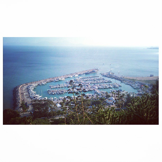 Last year in Tunisia