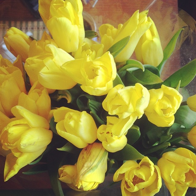 antonpetrov393 в LOOKY — 8 марта # весна #девушкам #любовь # спасибо