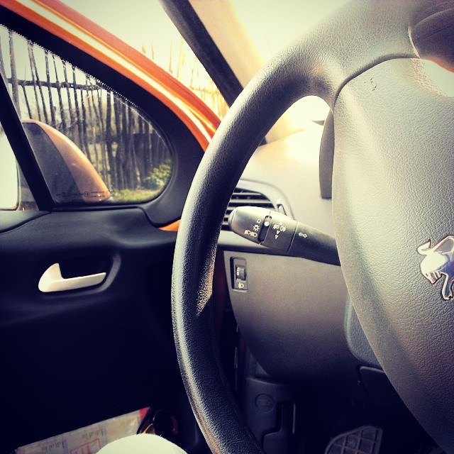 ao_krasnovy в LOOKY — #ярулевой #львенок #BusinessLady #рулит