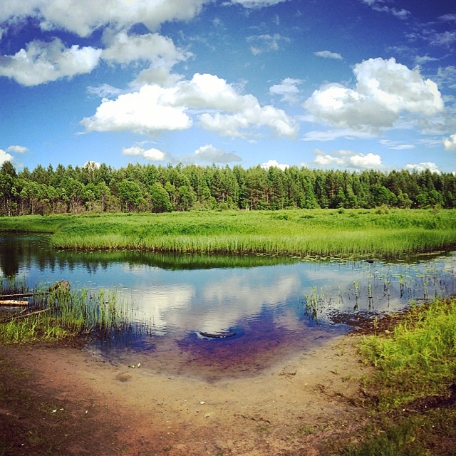 venian51 в LOOKY — #Россия #Озерный #природа #поселок #речка #Ёмба #берег #лес 