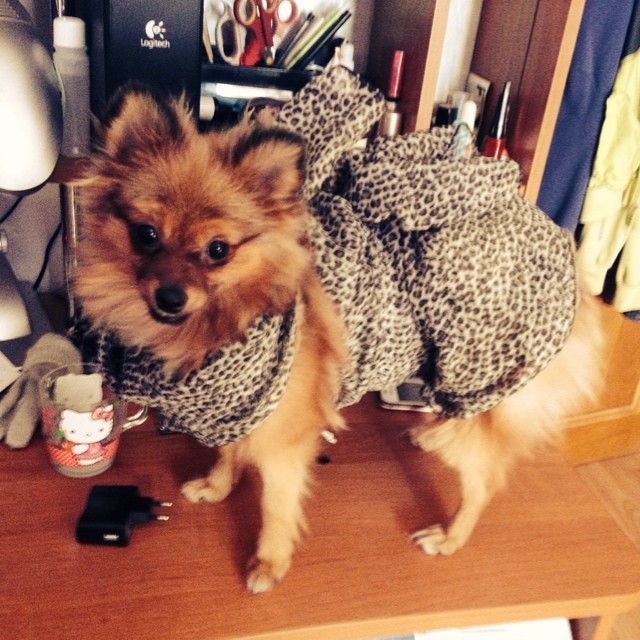 ev__kuhtenko in LOOKY. . Соскучилась очень си...