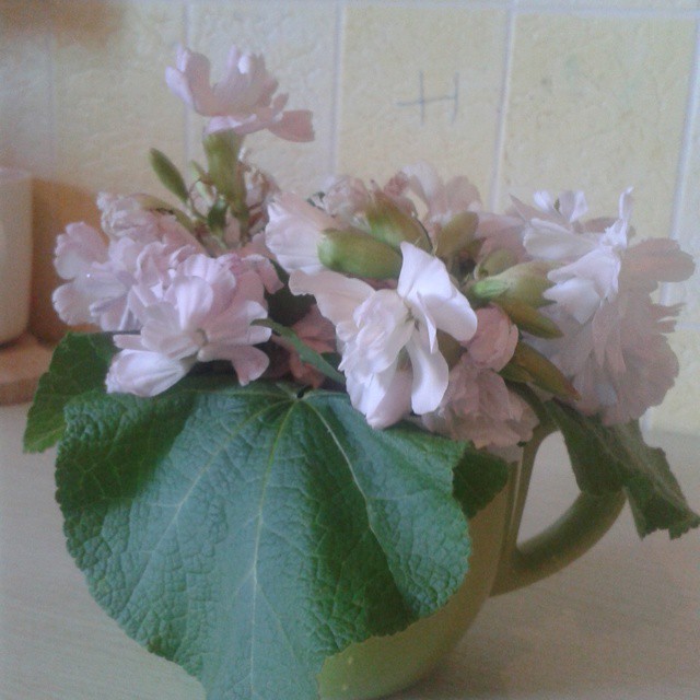 oksikazakova.ru в LOOKY — #чашка  Продолжение темы с кружкой...Уже с другими цветами -