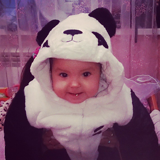 vytashpi110 в LOOKY — Моя маленькая панда 🐼🐼🐼🐼🐼