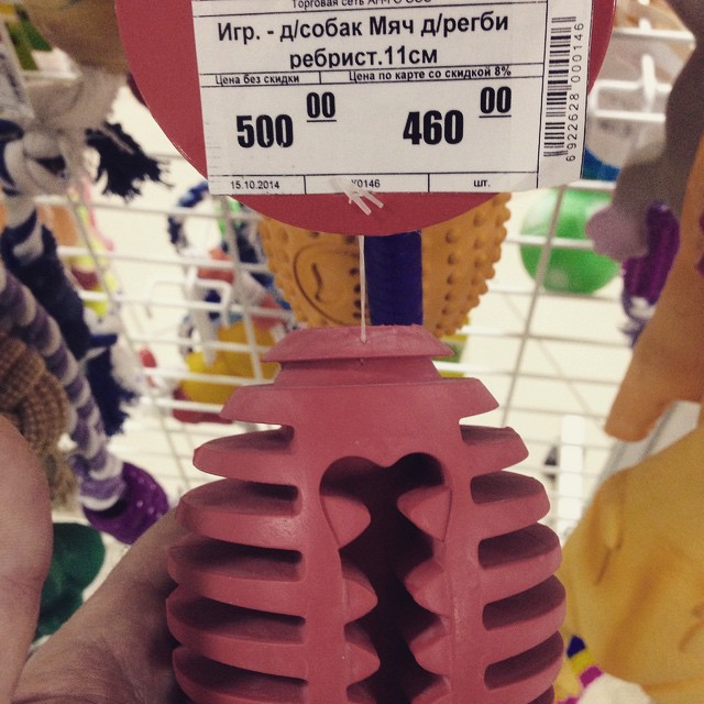 kirillcooper в LOOKY — Даже для собак есть #регби #rugby