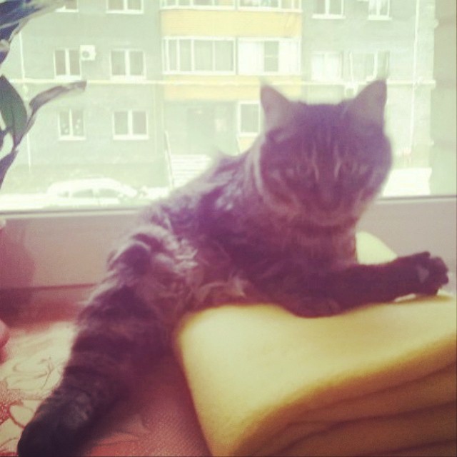 ilya_dmc_serebro в LOOKY — Я ни как не могу понять,как можно так сидеть????))) #курильс