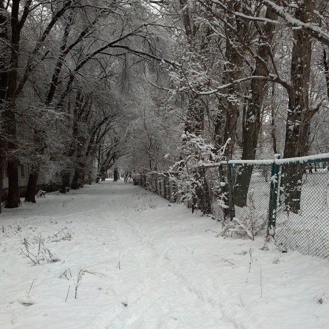 archee.l.rou в LOOKY — #снег