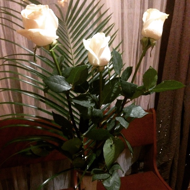 elenakonova в LOOKY — #14 февраля #любитедругдруга