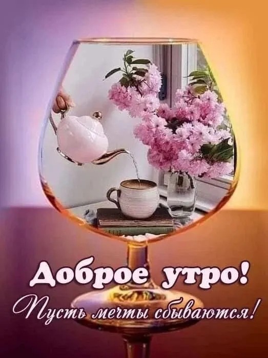 Сириус в LOOKY — публикация