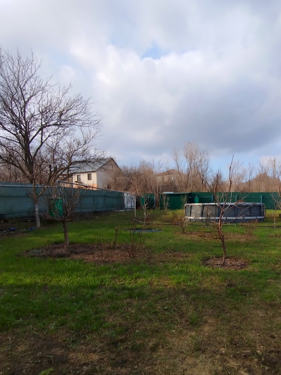 svesaratov в LOOKY — ЕЩЁ НЕМНОЖКО, И ВСЁ БУДЕТ ЗЕЛЁНЫМ. А пока зелёная только тра