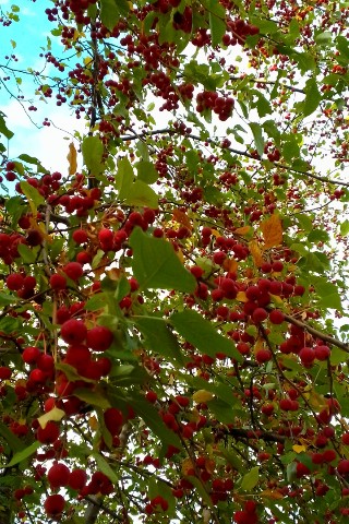 Looky_1721021213975 в LOOKY. . 