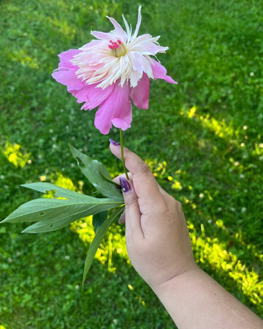 Нежности пост🌸