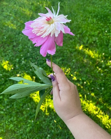 veremyovanneta в LOOKY. . Нежности пост🌸