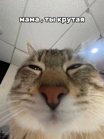 Соня в LOOKY — Хе